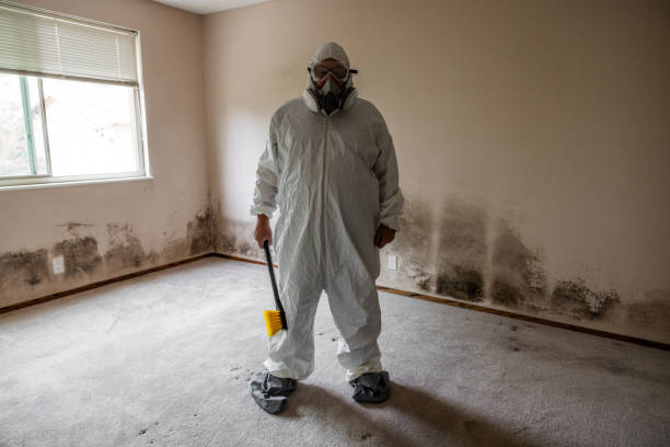 Mold Odor Removal Services in Wetherington, OH